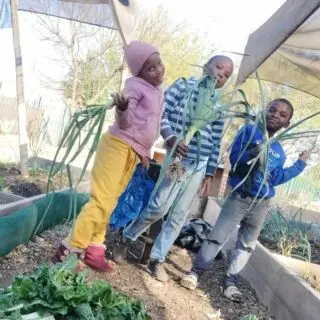 Generational wealth.....#YouthInspiringYouth #AncestralKnowledge #SocialChange 📸: @mina_tee1 Makwande Community Garden @micm_music_centre Morris Isaacson High School, Jabavu, Soweto, Johannesburg, South Africa.#TheBiggerPicture #Seed2Plate #Seed2Seed #FutureFood #Time4Progress #SocialChange #Global #Heritage #ResilienceGardening #ResilienceArts #ResilienceFilm #Organic #SelfSustainability #Empowerment #Dignity #HumanCommunity #ThinkOutoftheBox #ThinkofOthers #Makwande #Umbuntu